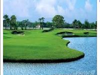 Land for sale in Pragati Green Islands, Ring Road area, Hyderabad