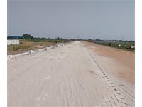 Institutional Plot / Land for sale in Sikri, Faridabad