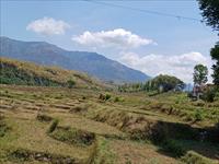 Free hold Agricultural Land for sale in Dehradun