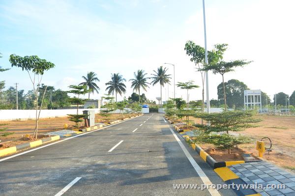 plot view
