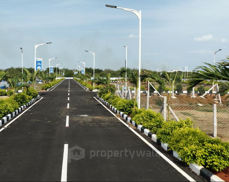 Street Light View & Road