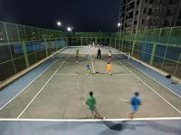 Playing Court