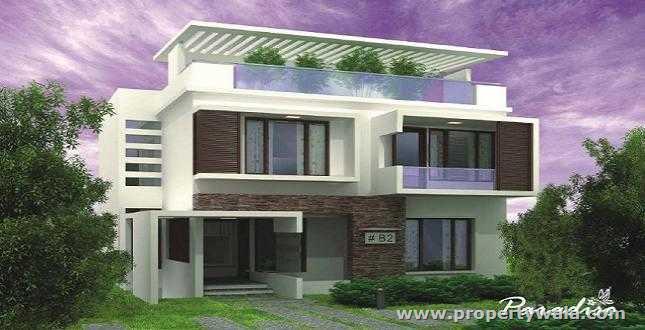 Elevation