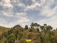 Residential Plot / Land for sale in Shoghi, Shimla