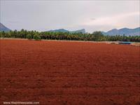 land for sale near Avinashi- Sevur