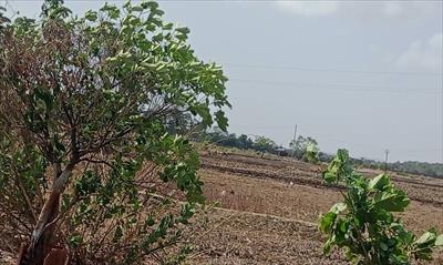 Residential Land for sale in Panvel, Navi Mumbai
