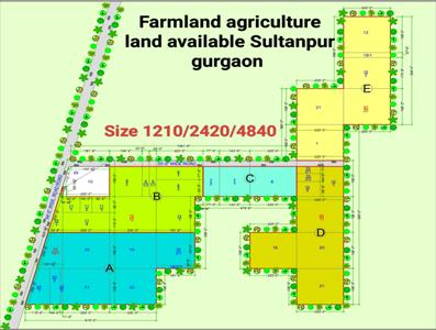 Residential Land for sale in Sultanpur, Gurgaon