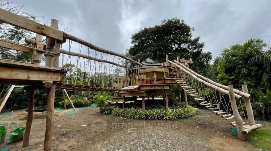 Tree House