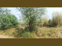 Residential Plot / Land for sale in Jagatpura, Jaipur