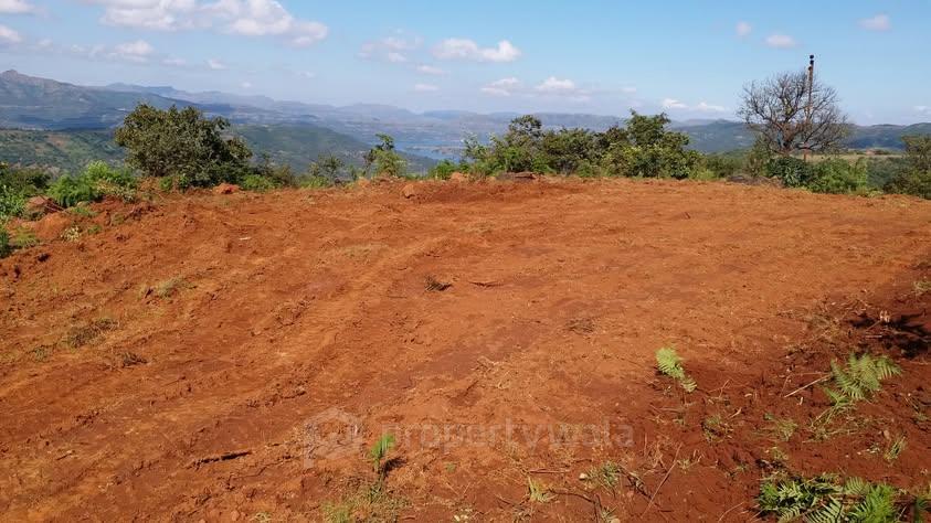 Actual Site Photos