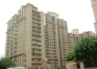 4 Bedroom Flat for rent in DLF Carlton Estate, DLF City Phase V, Gurgaon