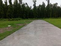 Residential Plot / Land for sale in Bhauwala, Dehradun