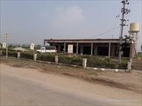 Land for sale in Rose Avenue, Dera Bassi, Zirakpur