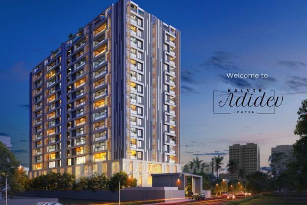 Project - Aerial View