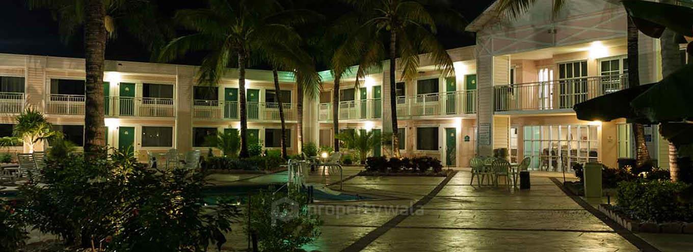 Night View