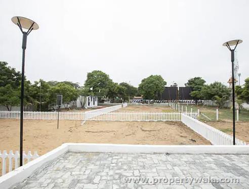 Plot View