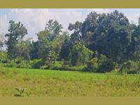 Agri Land for sale in Kanakapura Road area, Bangalore