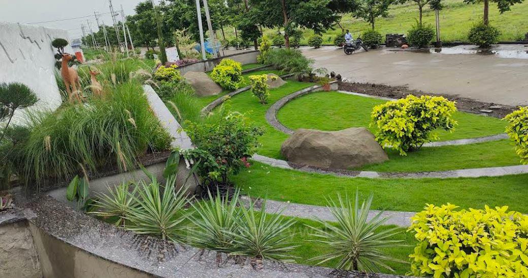 Garden