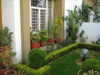 3 Bedroom House for rent in Indus Garden Phase-1, Gulmohar Colony, Bhopal
