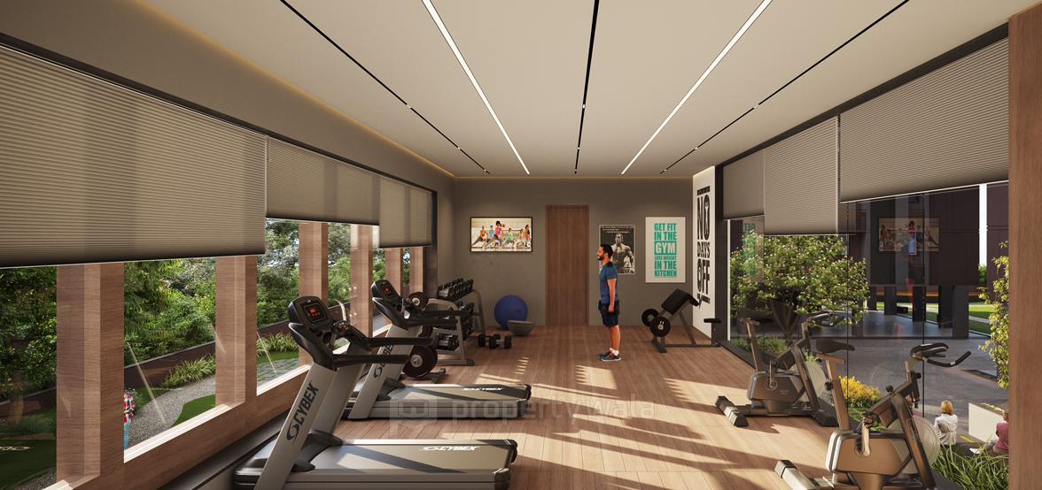 Gymnasium