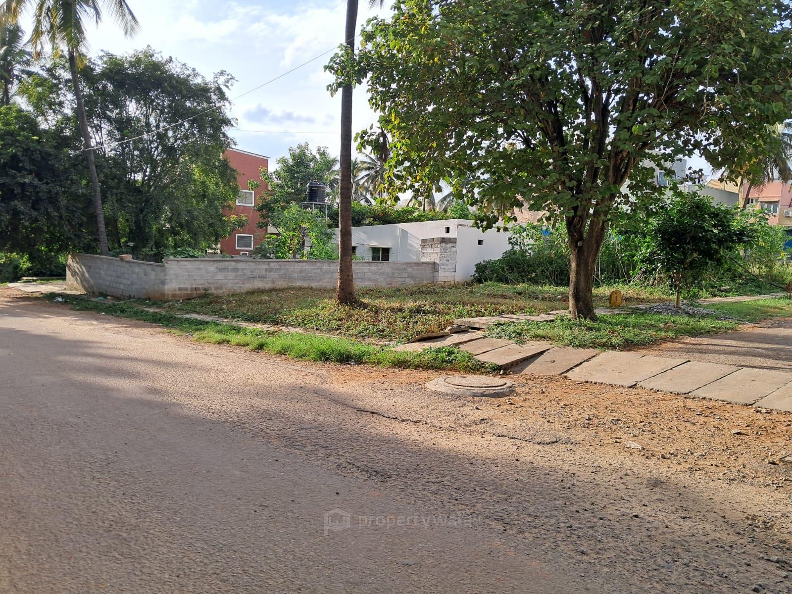 Side View