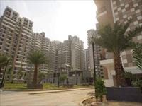 3 Bedroom Apartment / Flat for rent in Sector 75, Noida