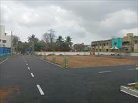 SITE VIEW