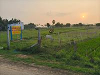 Residential Plot / Land for sale in Pallividai, Tiruchirappalli