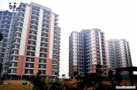 2 Bedroom Flat for sale in Gaur Grandeur, Sector 119, Noida
