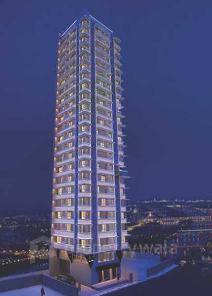 Night View