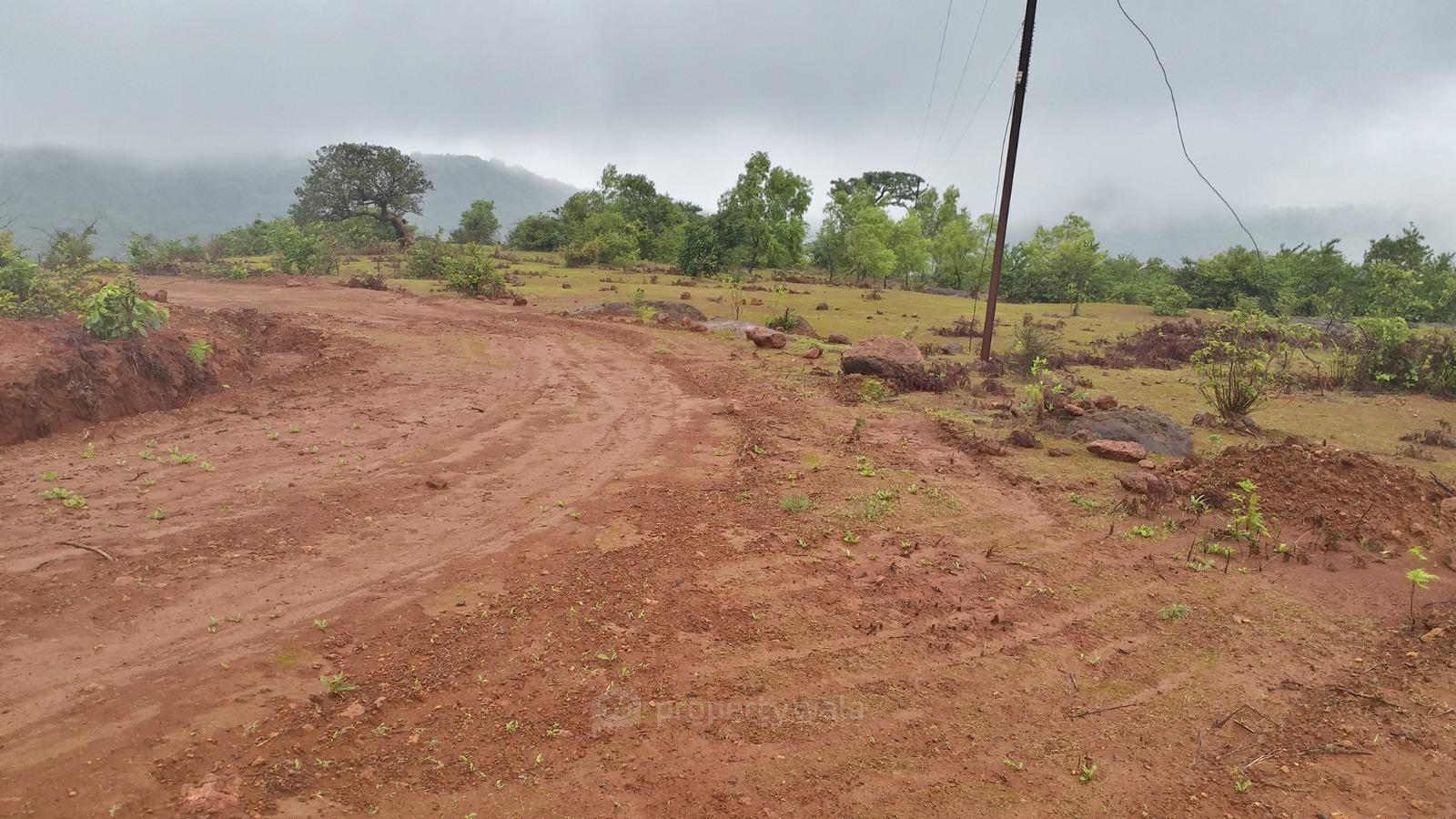 Actual Site Photos