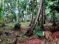 Residential Plot / Land for sale in Quepem, South Goa