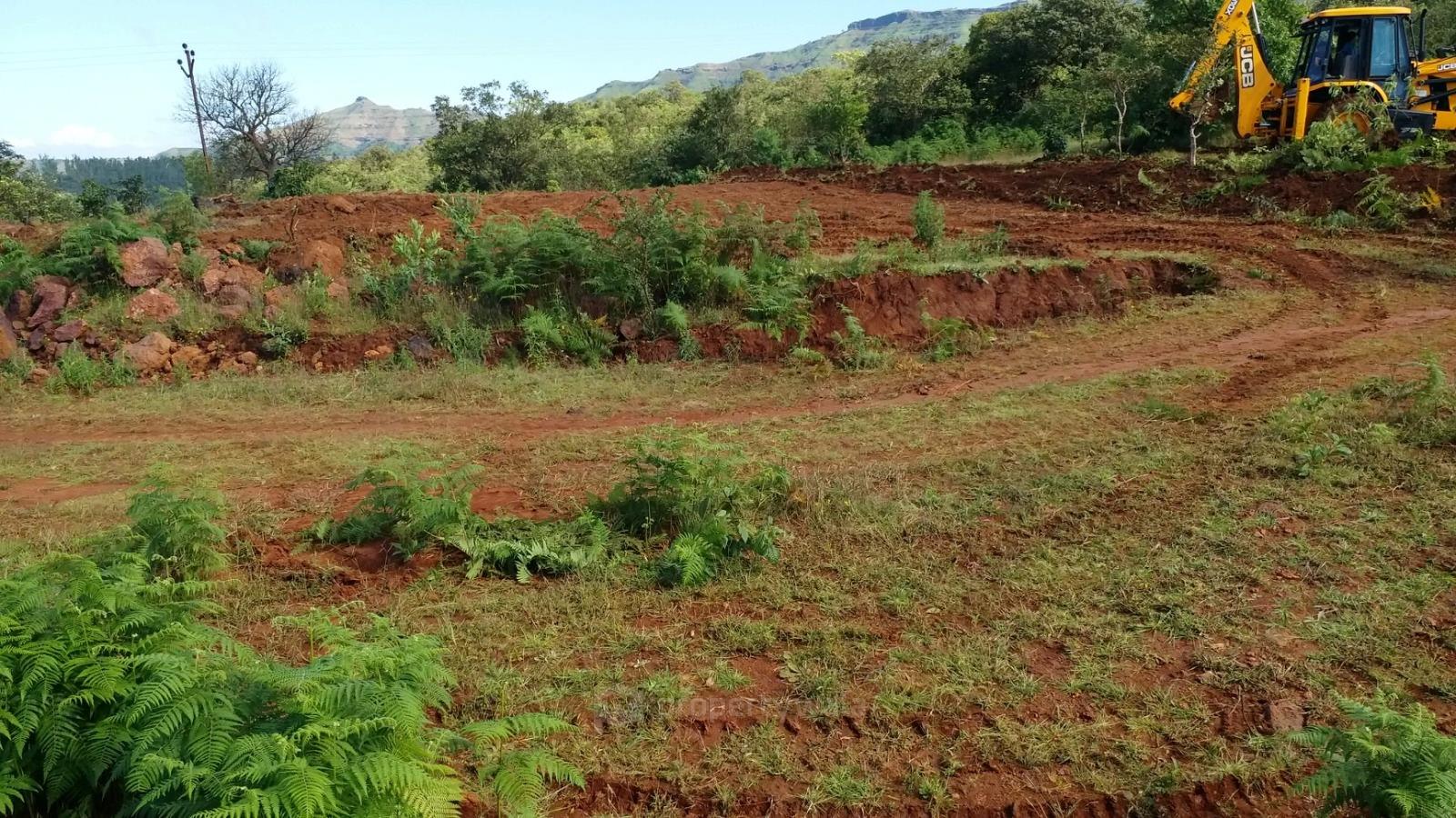 Actual Site Photos