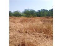 Agricultural land for sale in Tala - Raigad