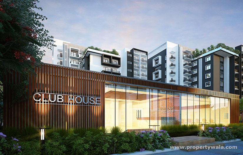Clubhouse
