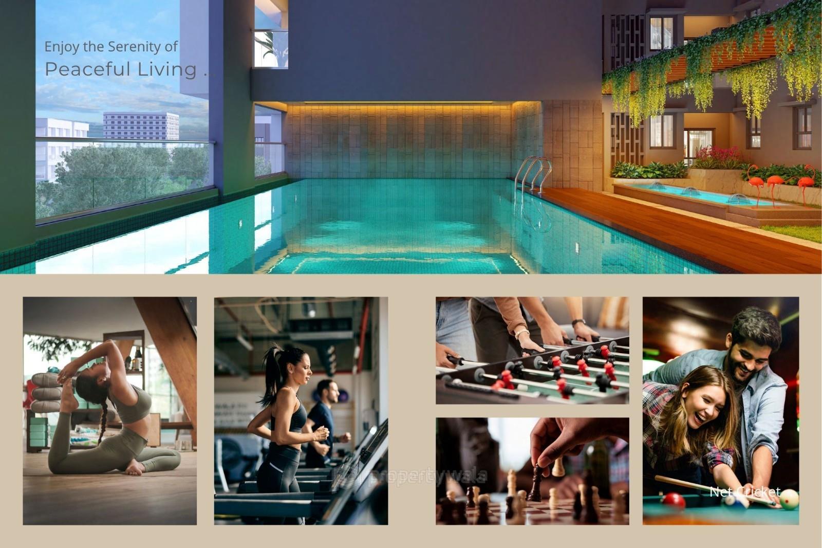 Project - Swimming Pool