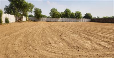 1 Bedroom Farm House for sale in Sohna Road area, Faridabad