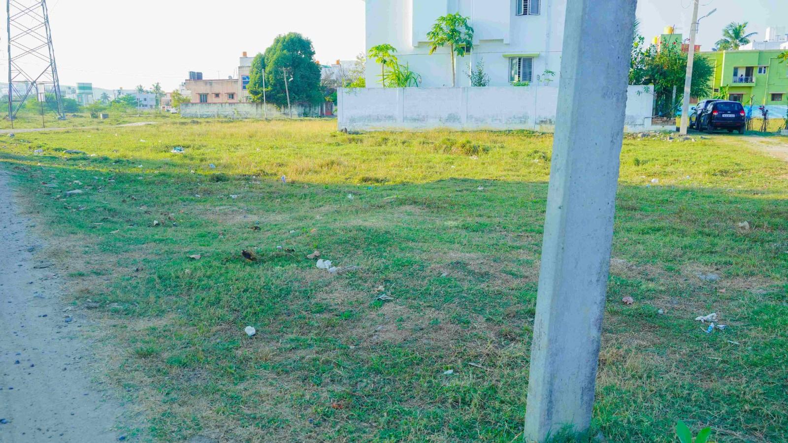 Plot photo