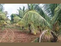 Agri Land for sale in Kanakapura Road area, Bangalore