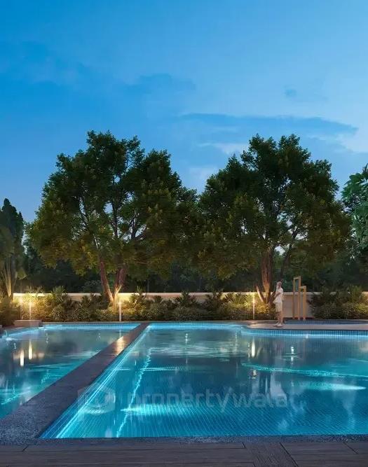 Project - Swimming Pool