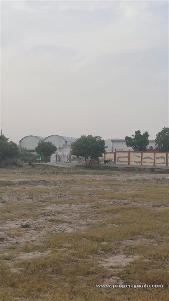 road view
