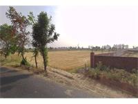 Residential Plot / Land for sale in Fafunda Village, Faridabad