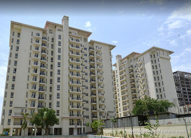 3 Bedroom Apartment / Flat for sale in Tulip Yellow, Sector-70, Gurgaon