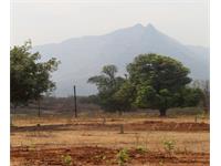 Agri Land for sale in Acreages Malshej Park, Murbad, Thane