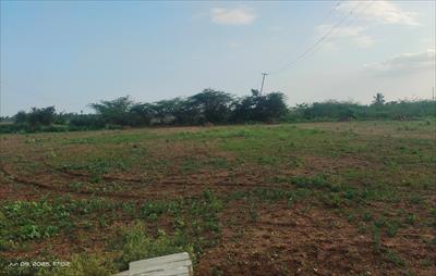 Residential Land for sale in Kovilpalayam, Coimbatore