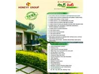 Land for sale in Honeyy Smart City, Kothavalasa, Visakhapatnam