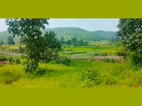 Agricultural Plot / Land for rent in Murbad, Thane