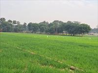 Agriculture land for sale Faridabad road area Palwal