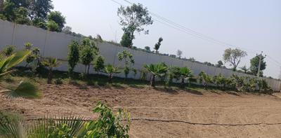 Land for sale in Jewar Suraksha Enclave, Jewar, Gautam Budh Nagar