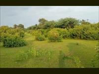 Agricultural Plot / Land for sale in Vallabh Nagar, Udaipur